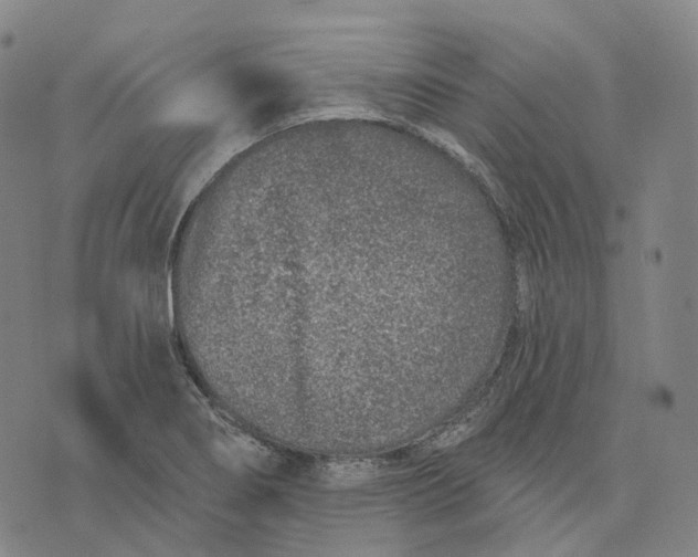 X0000074261274200609151752