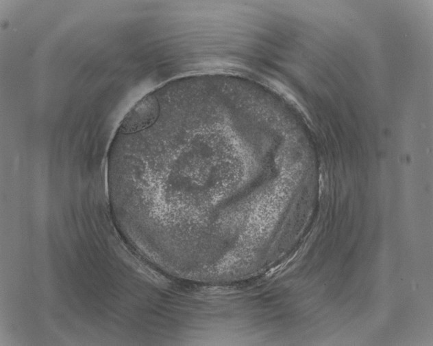 X0000074261275200609151752