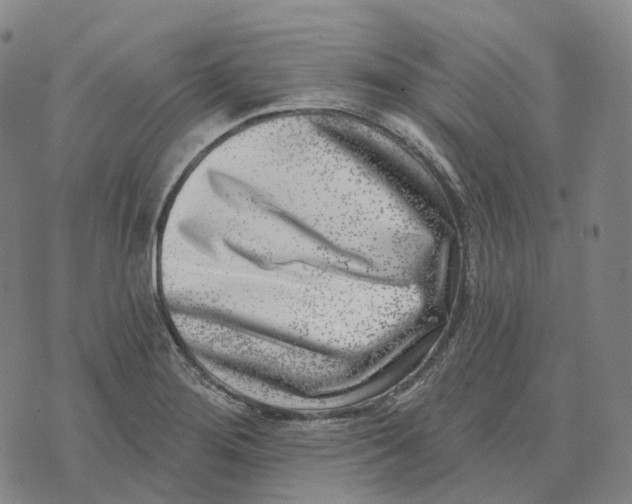 X0000074261276200609151752