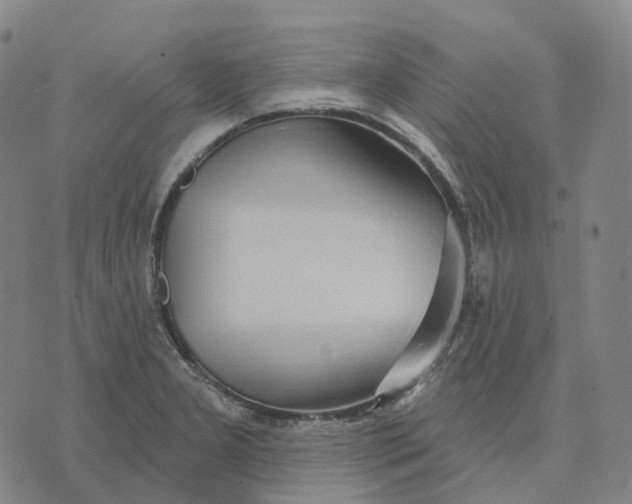 X0000074261277200609151752