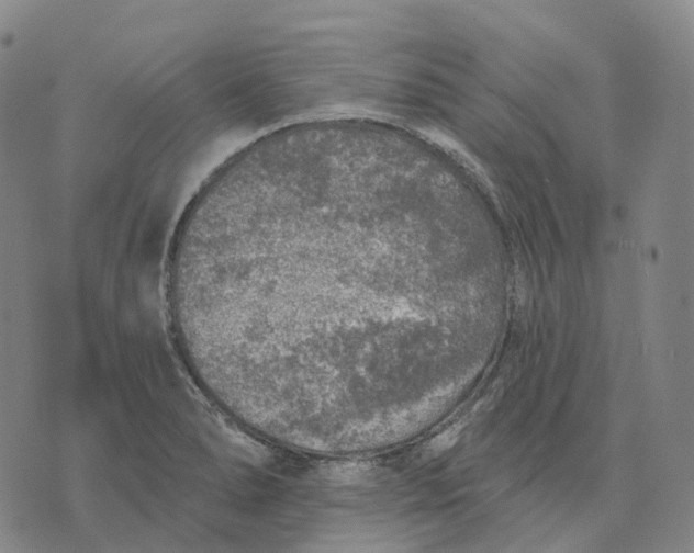 X0000074261278200609151752