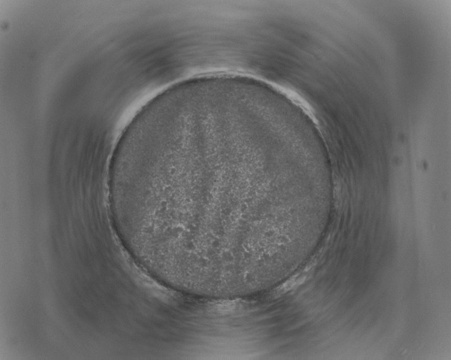 X0000074261279200609151752