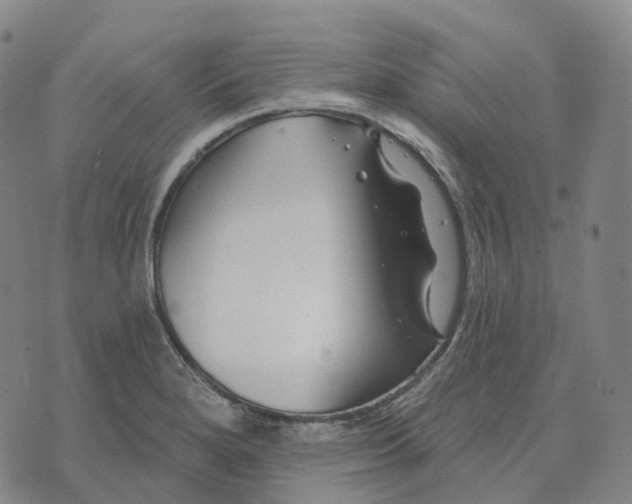 X0000074261280200609151752