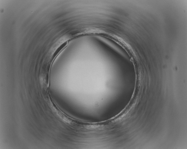 X0000074261281200609151752