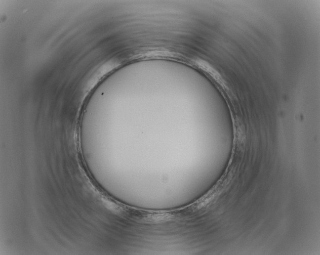 X0000074261282200609151752