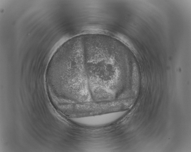 X0000074261283200609151752