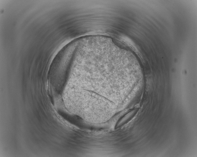 X0000074261284200609151752