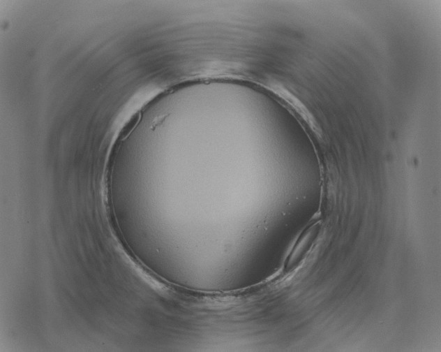 X0000074261285200609151752