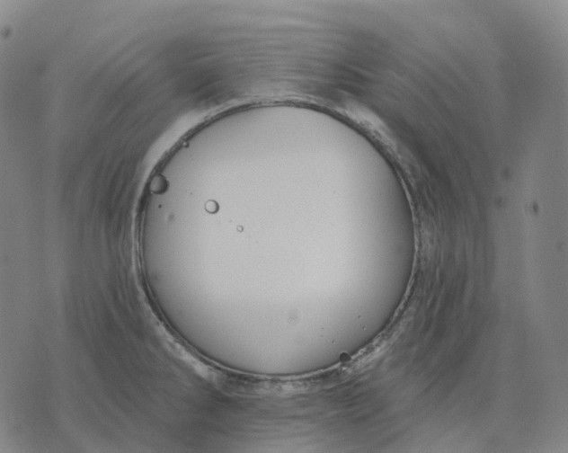 X0000074261286200609151752