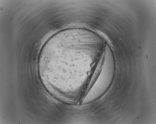 X0000074261288200609151752