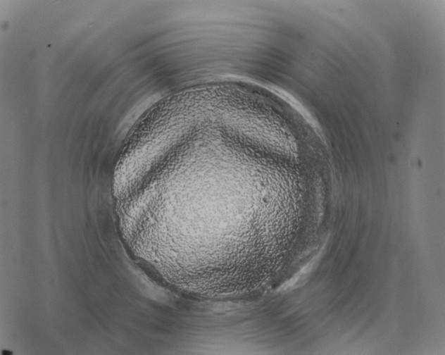 X0000074261289200609151752