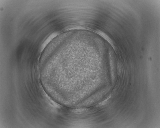 X0000074261290200609151752