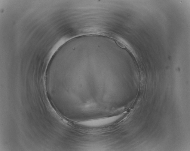 X0000074261291200609151752