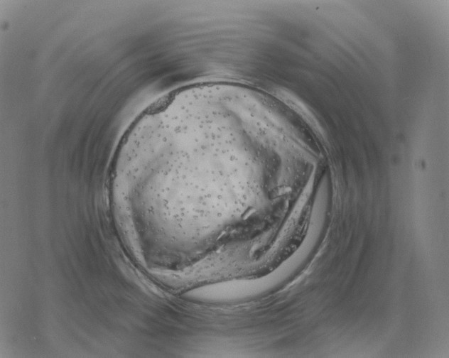 X0000074261292200609151752