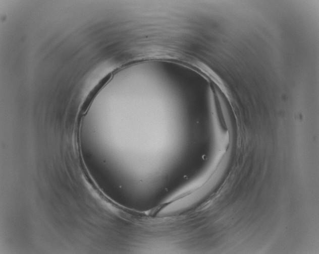 X0000074261293200609151752