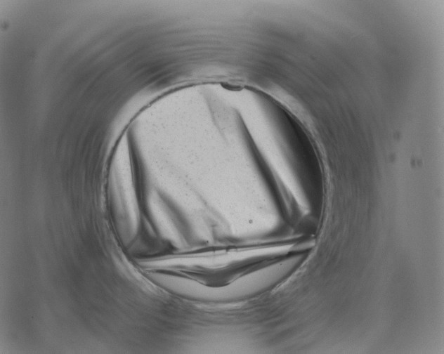 X0000074261296200609151752