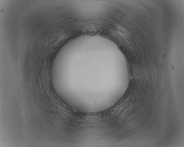 X0000074261297200609151751