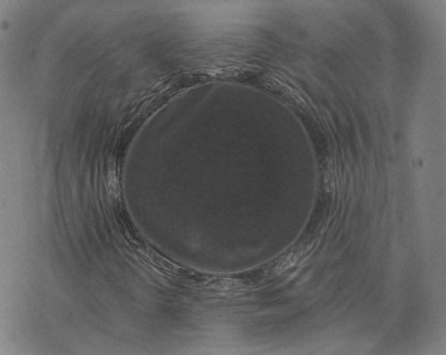 X0000074261298200609151751