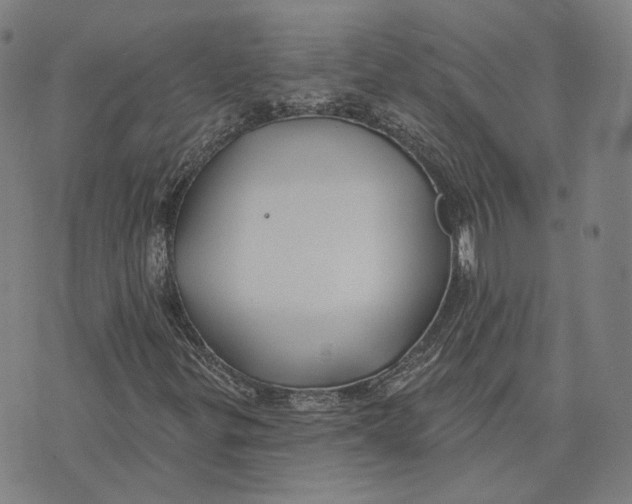 X0000074261299200609151751