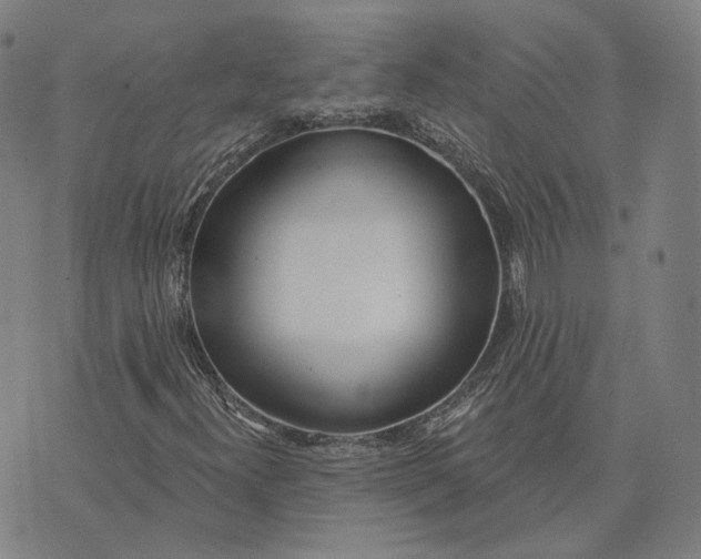 X0000074261300200609151751