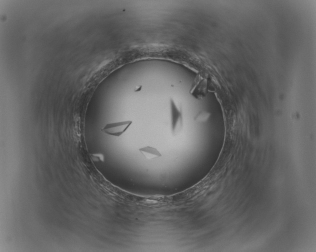 X0000074261301200609151751