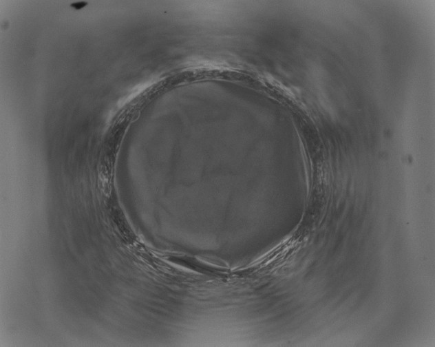 X0000074261303200609151751