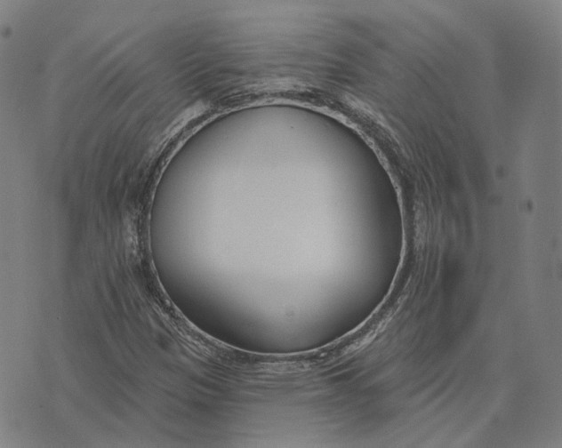 X0000074261305200609151751