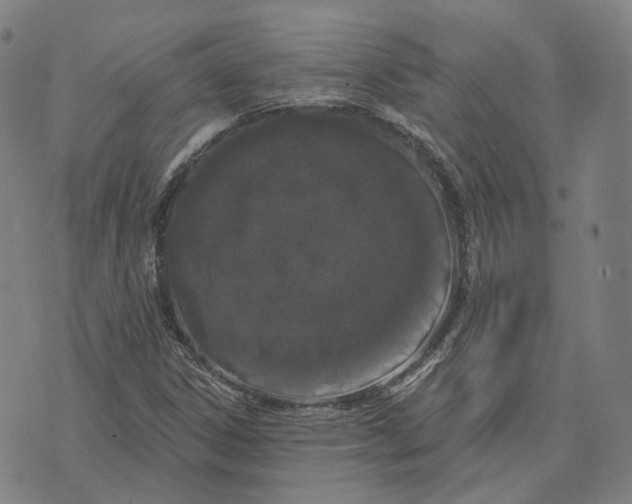 X0000074261306200609151751