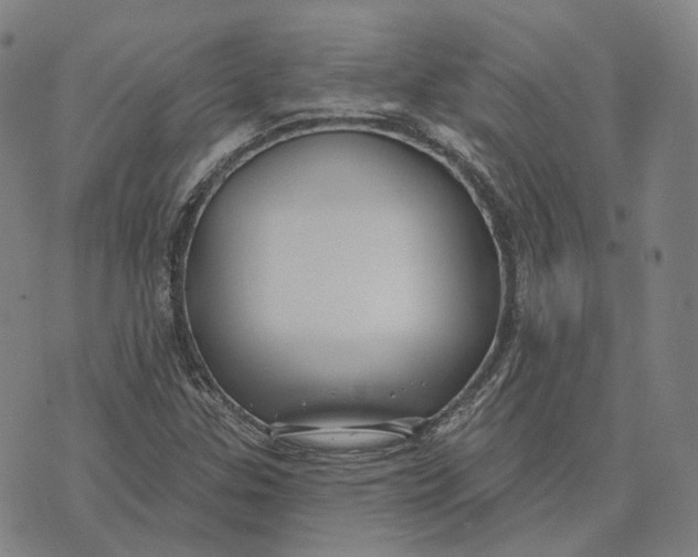 X0000074261307200609151751