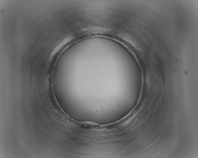 X0000074261309200609151751