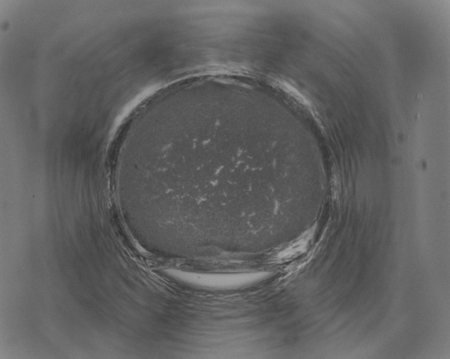 X0000074261310200609151751