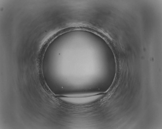 X0000074261311200609151751