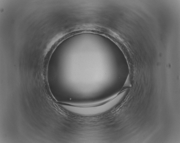 X0000074261312200609151751