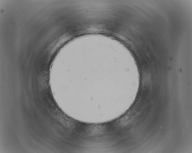 X0000074261314200609151751