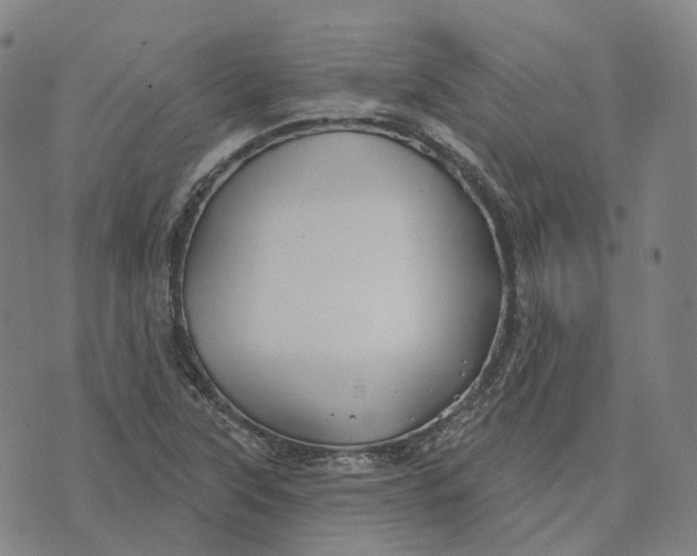 X0000074261315200609151751