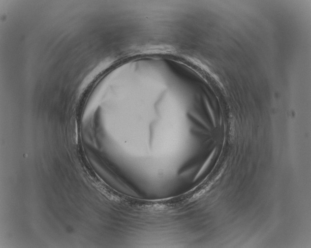 X0000074261317200609151751