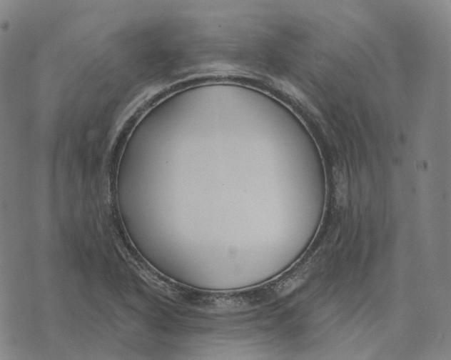 X0000074261318200609151751