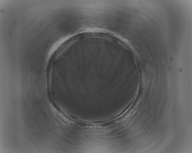 X0000074261319200609151751