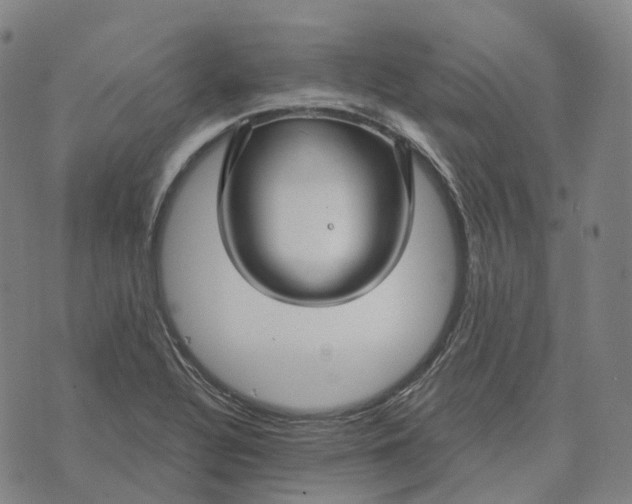 X0000074261320200609151751