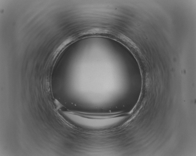 X0000074261321200609151751