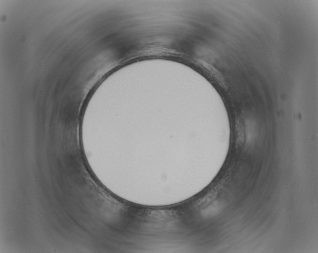 X0000074261322200609151751