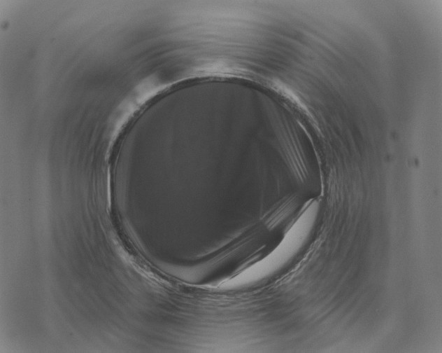 X0000074261323200609151751