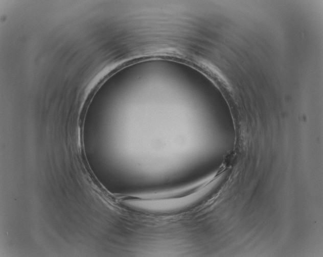 X0000074261324200609151751