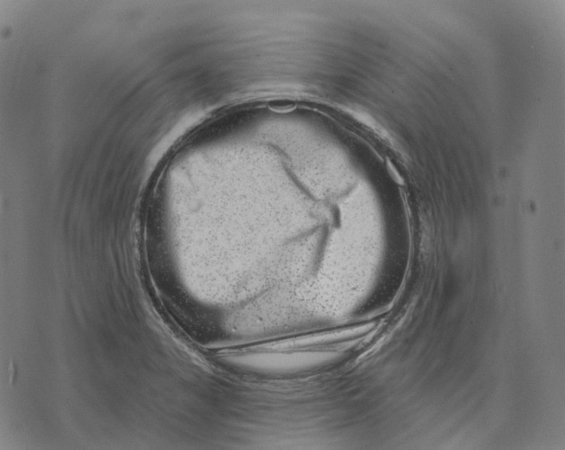 X0000074261325200609151751