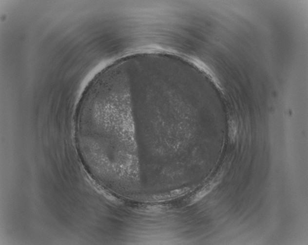 X0000074261326200609151751