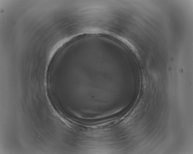 X0000074261327200609151751