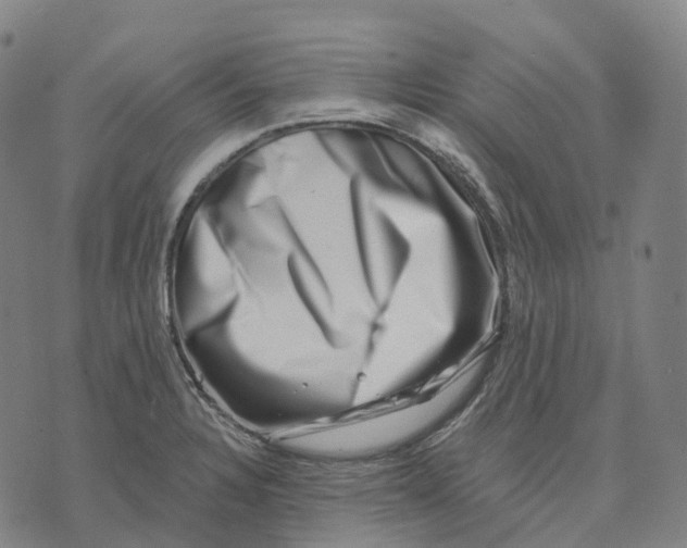 X0000074261328200609151751