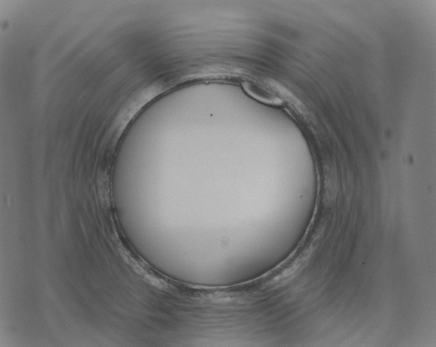 X0000074261329200609151751