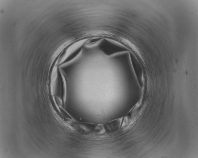 X0000074261330200609151752