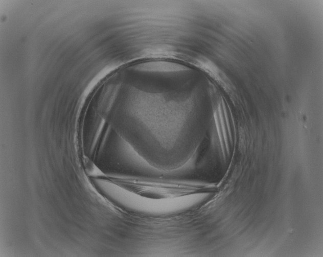 X0000074261331200609151752